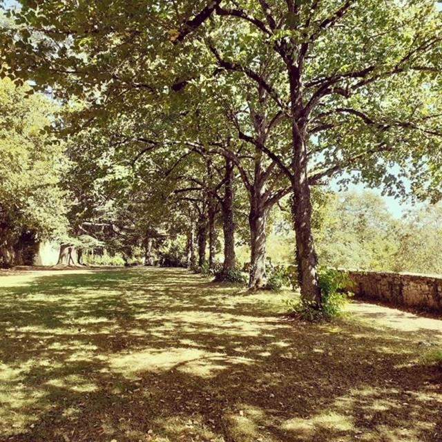 Domaine De Carriere Hotel Marvejols Buitenkant foto